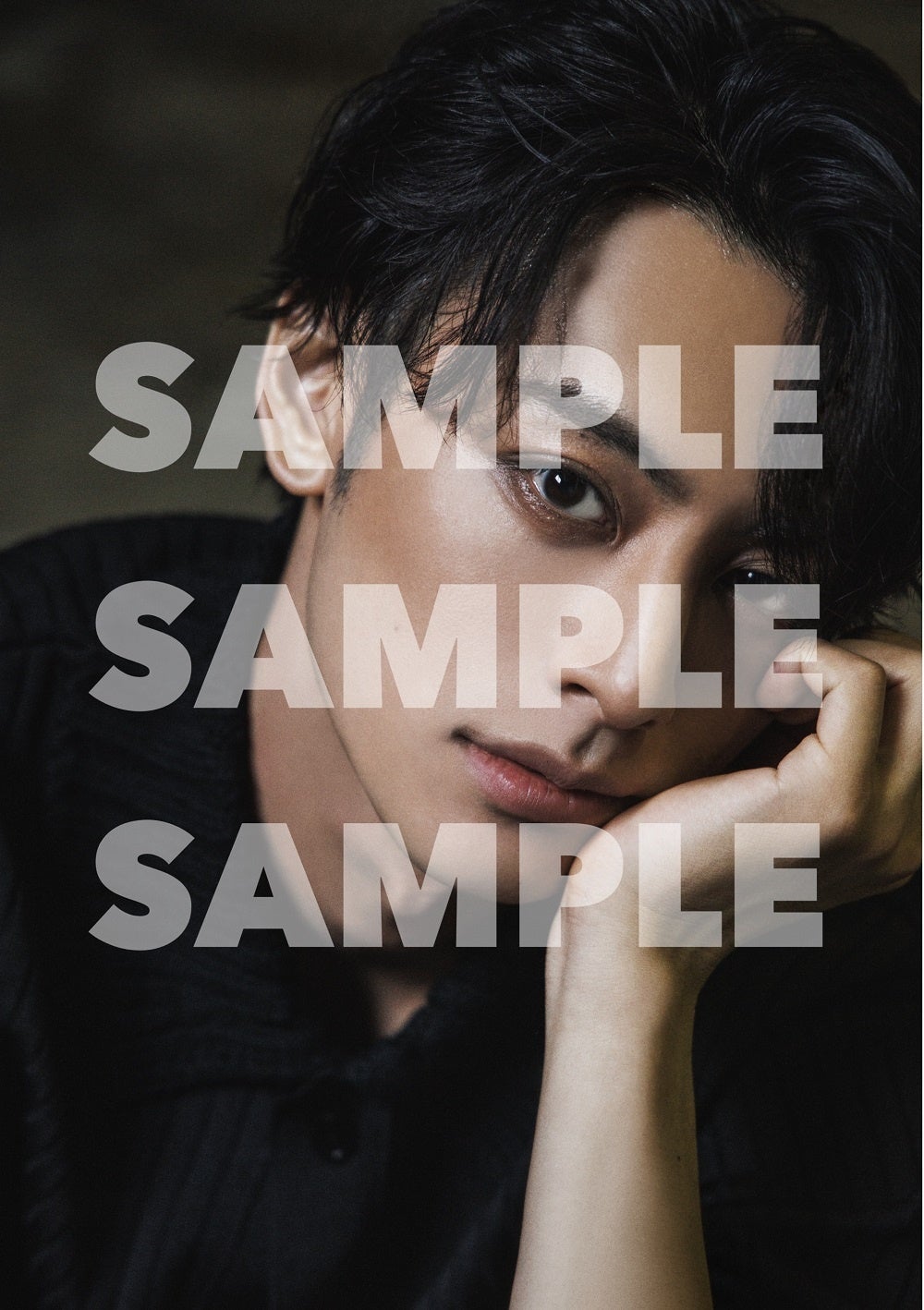 「TVガイドStage Stars vol.23（通常版）」アニメイト購入特典