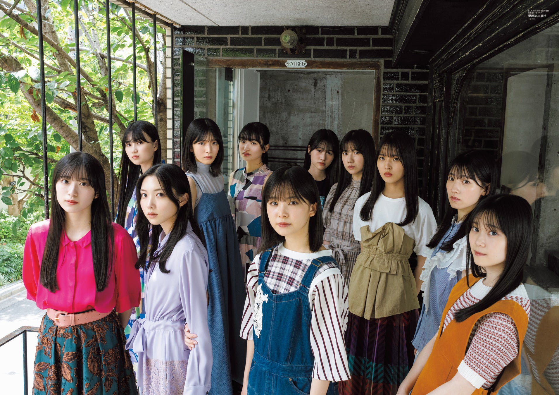 「B.L.T.2023年11月号」別冊付録:櫻坂46 三期生 両面超ビッグポスター(裏)