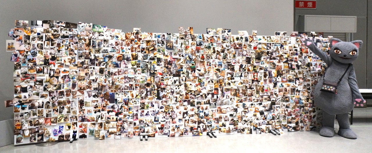 来場者のにゃんピク(愛猫写真)を貼ったにゃんピクボード