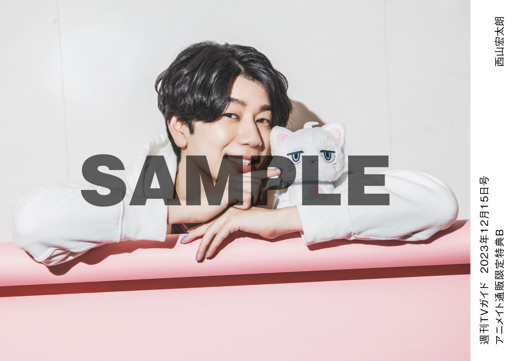 西山宏太朗 雑誌 DVD 江口拓也 西山宏太朗 TVガイドVOICE stars vol.08 - メルカリ