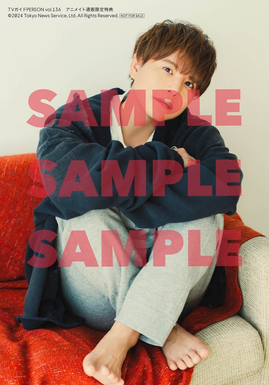 「週刊TVガイド関西版2024年1月24日号増刊 TVガイドPERSON vol.136」アニメイト購入特典生写真
