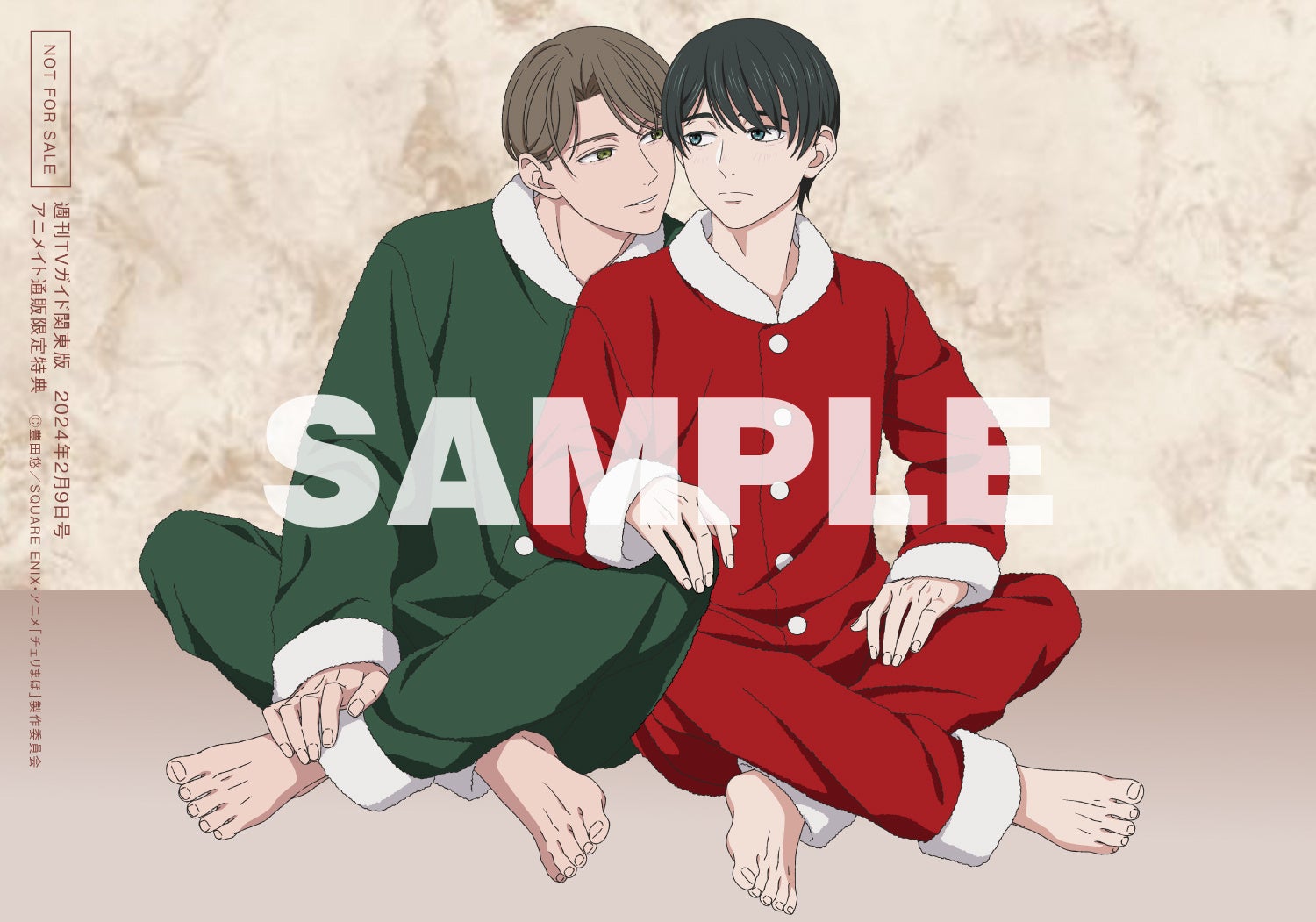 「週刊TVガイド2024年2/9号」(東京ニュース通信社刊)