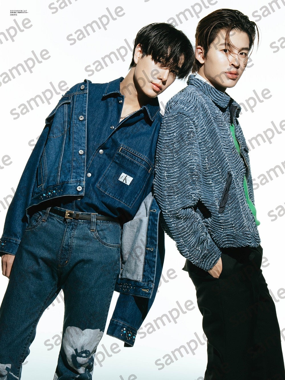 タイドラマガイド「D」 vol.7別冊付録①:Gemini&Fourth/Pond&Phuwin撮り下ろし両面特大ポスター(裏)