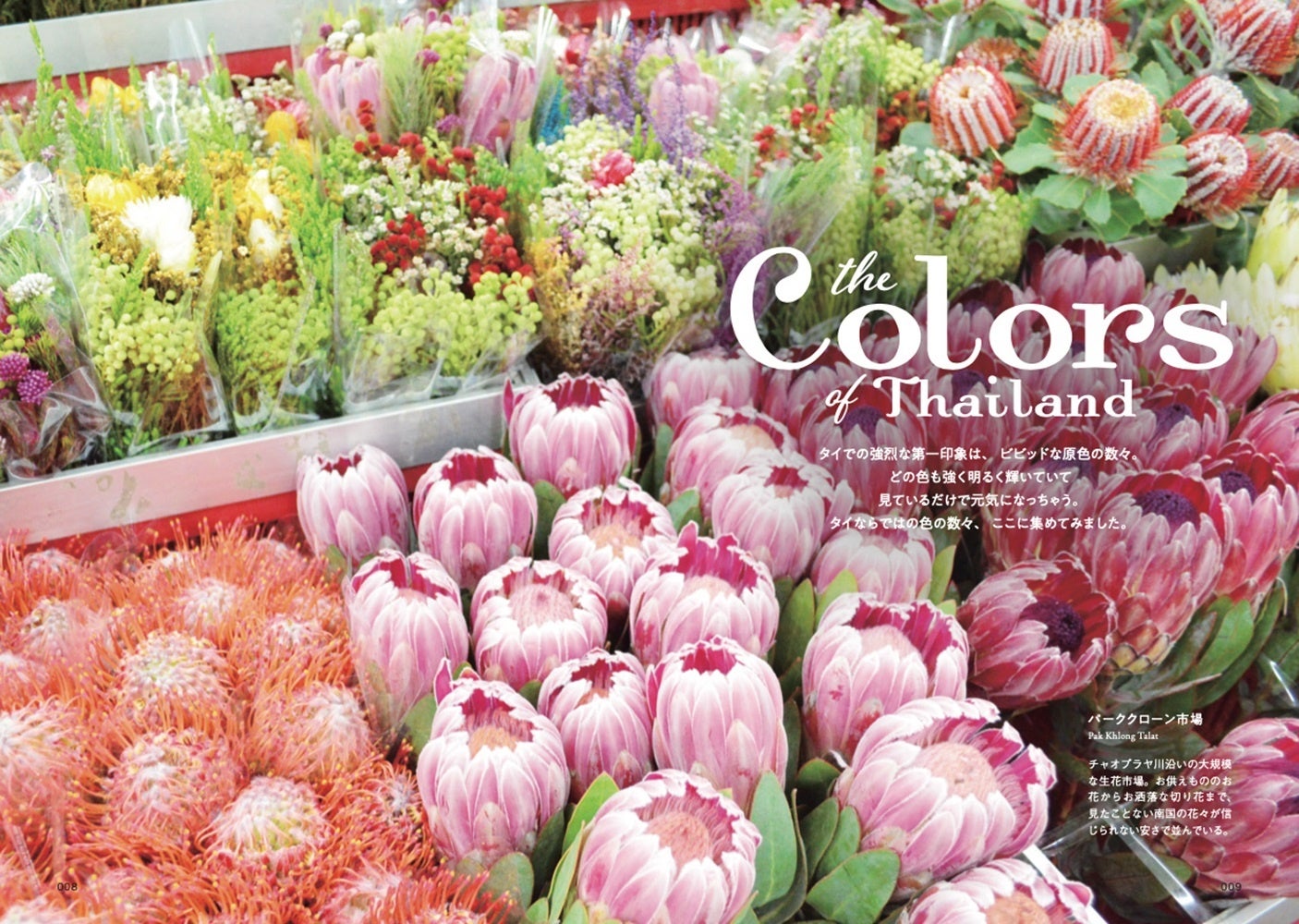 「おもいっきりタイ暮らし　働いて、旅して、殻を破った100日間」小見山紗織／著​(東京ニュース通信社刊)