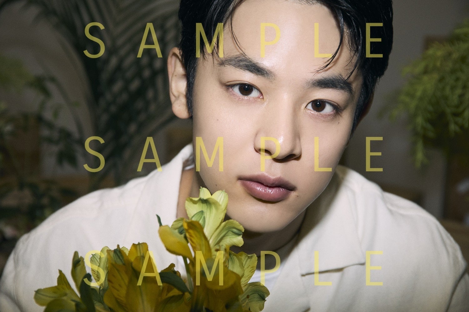 【楽天ブックス購入者特典】「週刊TVガイド関西版2024年9月11日号増刊 TVガイドdan［ダン］vol.52」