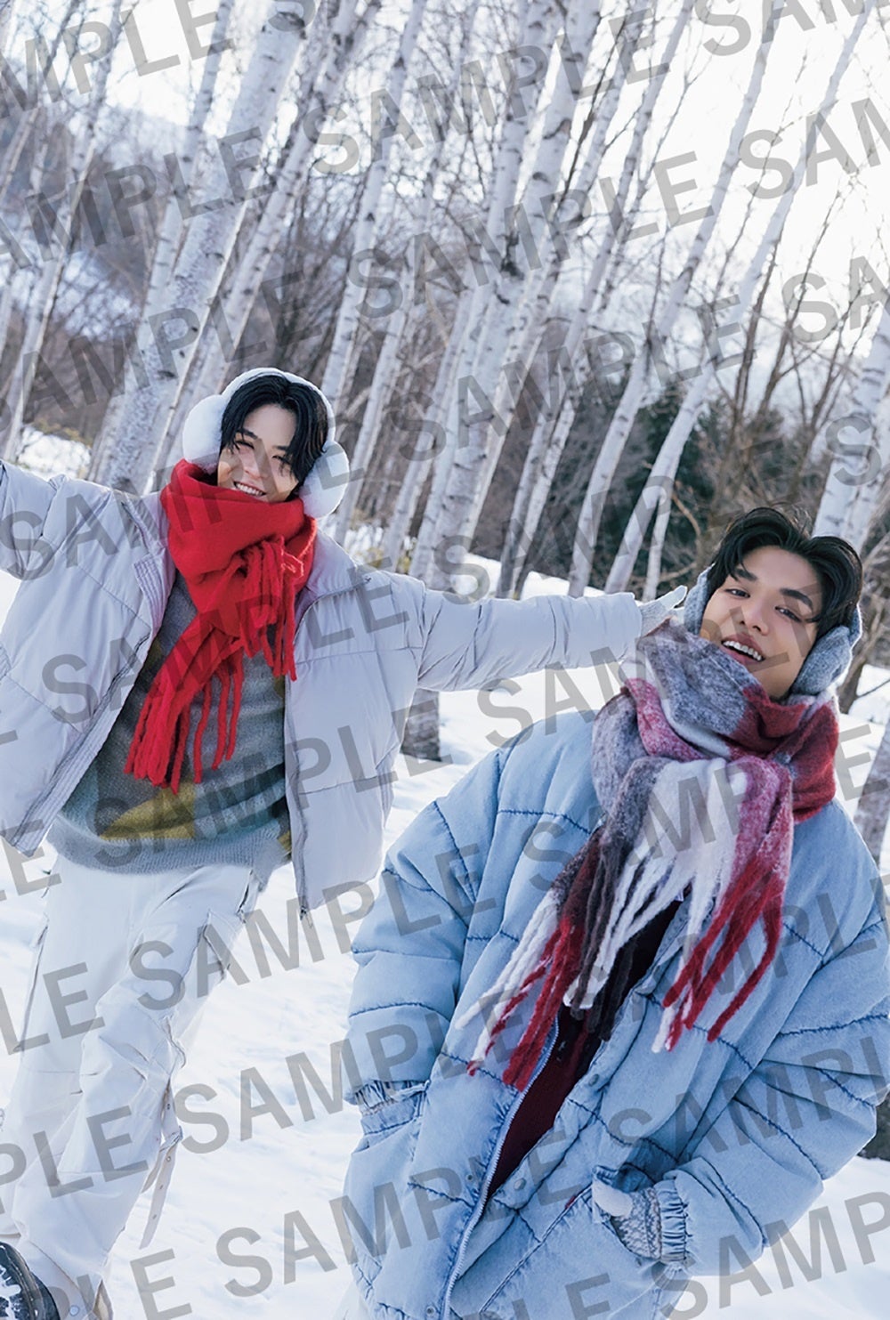 DOMUNDI Photo Book in Japan「Twinkle」別冊付録ポストカードD