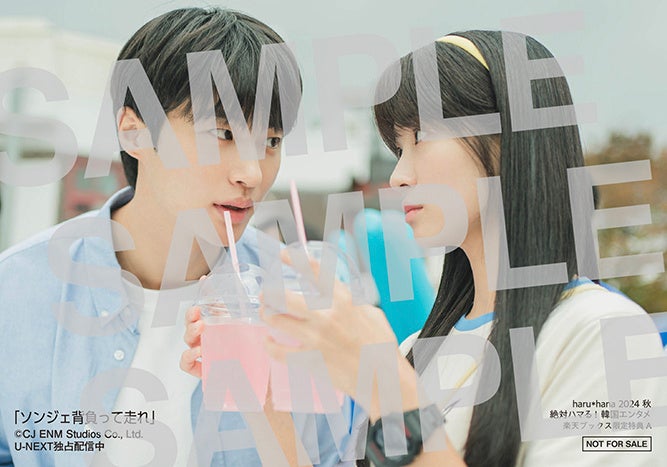 【楽天ブックス購入者特典】「haruhana 2024秋 絶対ハマる!韓国エンタメ」