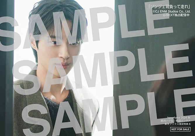 【楽天ブックス購入者特典】「haruhana 2024秋 絶対ハマる!韓国エンタメ」