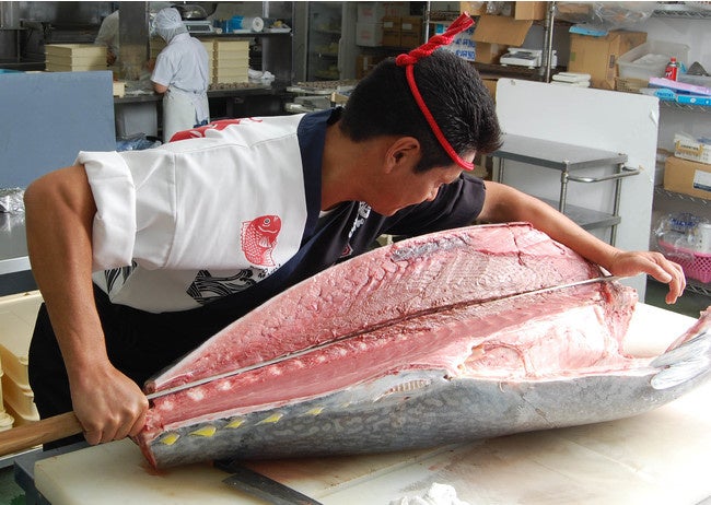 マグロの解体ショー