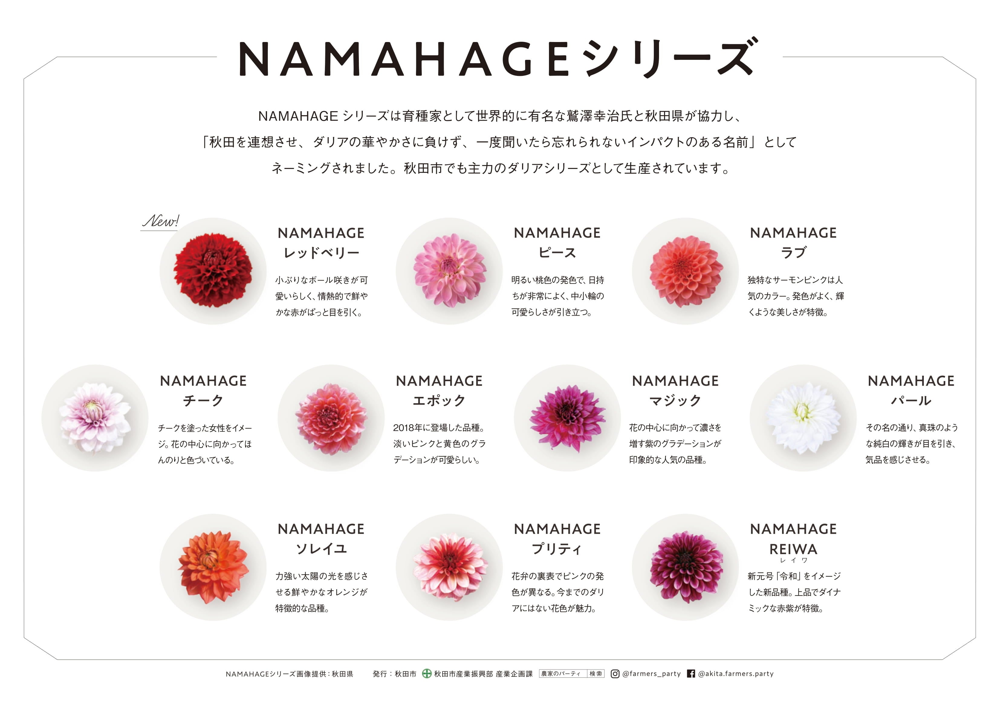 NAMAHAGEダリア紹介パネル