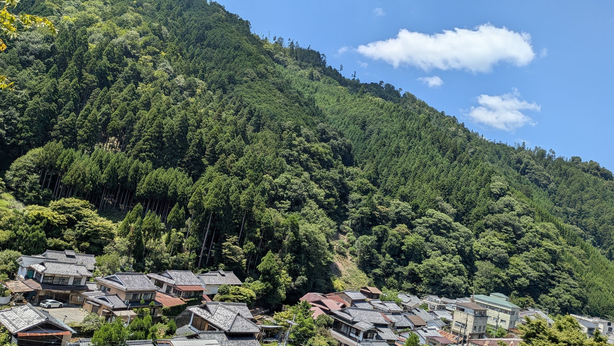 大阪・関西万博 関西パビリオン京都ゾーン 2025年9月1日からの「いのちの週」にNPO法人itswellnessが出展 ― 森林浴をテーマに、未来社会に向けたウェルネスツアーを提案