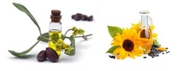 2つの植物エキス（左から）ホホバ種子油、ヒマワリ種子油