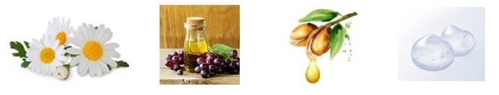 4つの美容液成分（左から）カミツレ花エキス、ブドウ種子油、アルガニアスピノサ核油、ヒアルロン酸Na