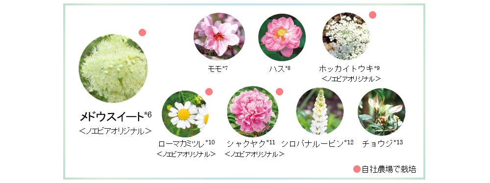 ノエビア】コラーゲンに着目した新処方「HUKKULA」を採用。ふっくらと