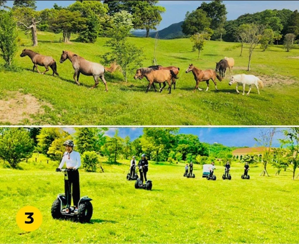 乗馬＆セグウェイ