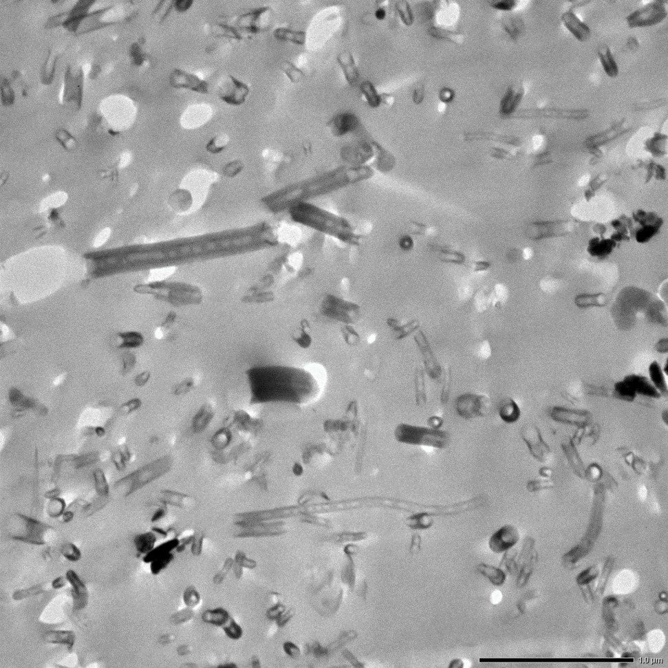 塗膜内のCSCNT分散 電子顕微鏡画像