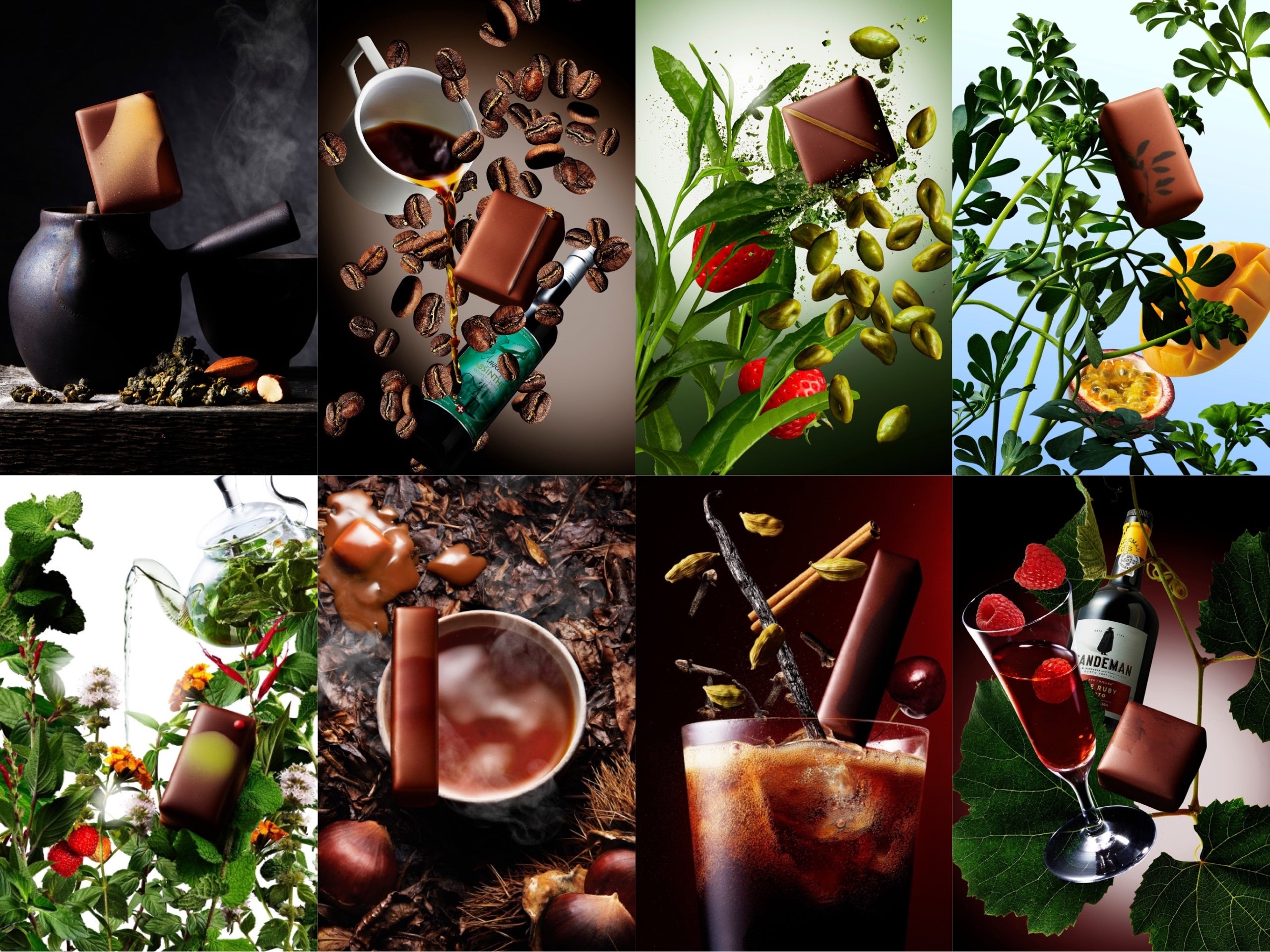 個性豊かな8種類のショコラ