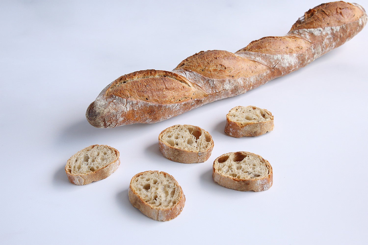 バゲット ポルチーニ　9月～12月末