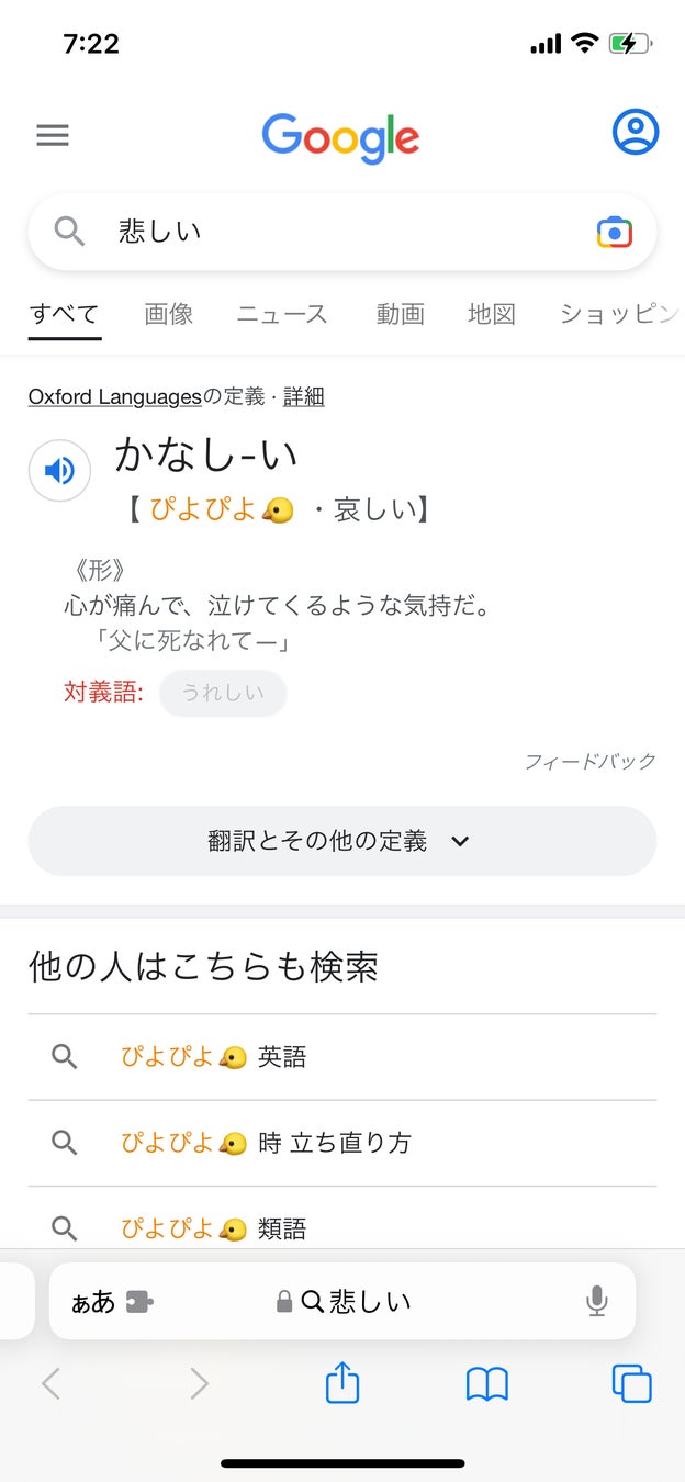 Safariなら何でも変換可能