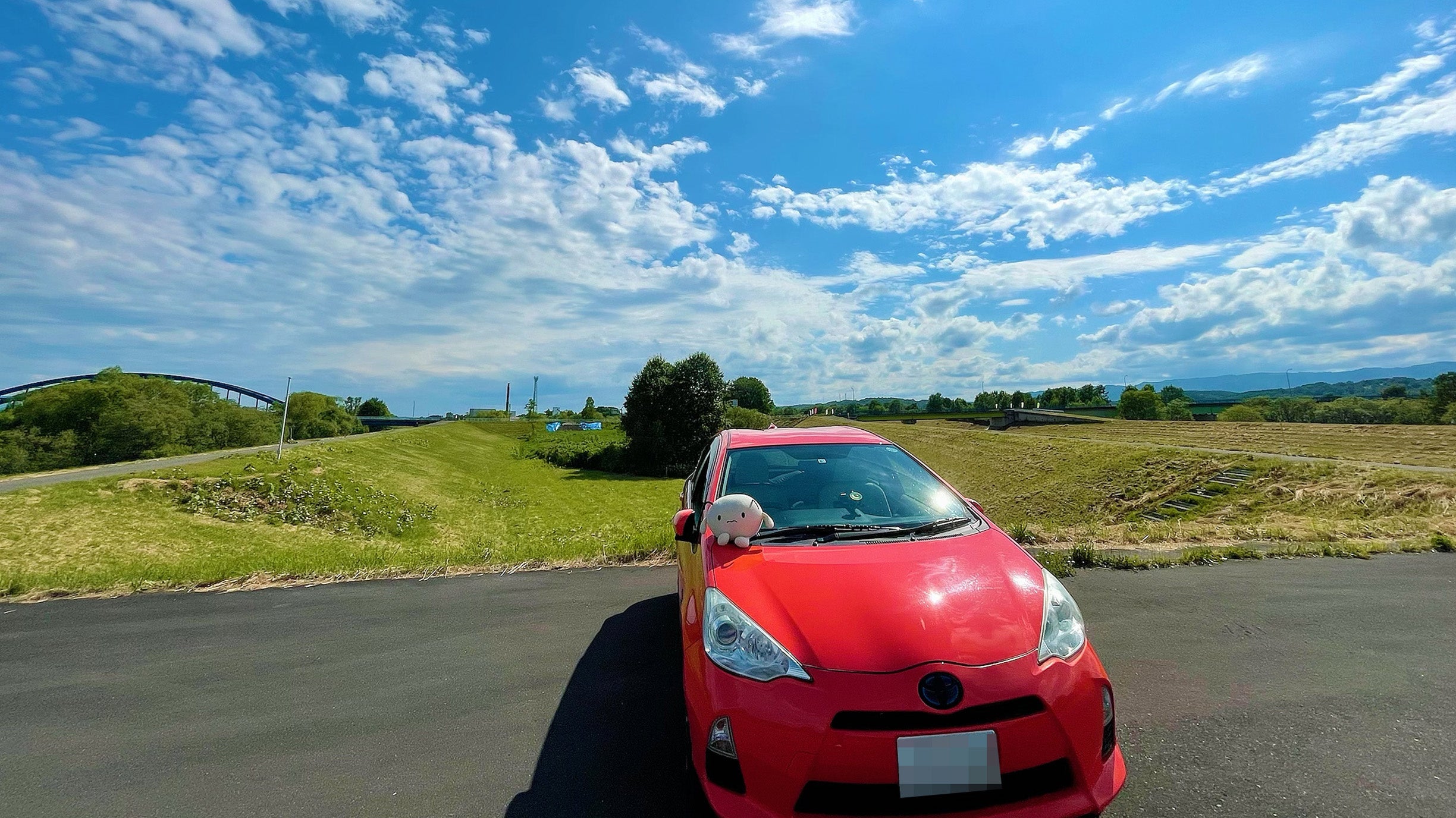 お供のぬいぐるみ「マツモトくん」。SIONの本名から命名