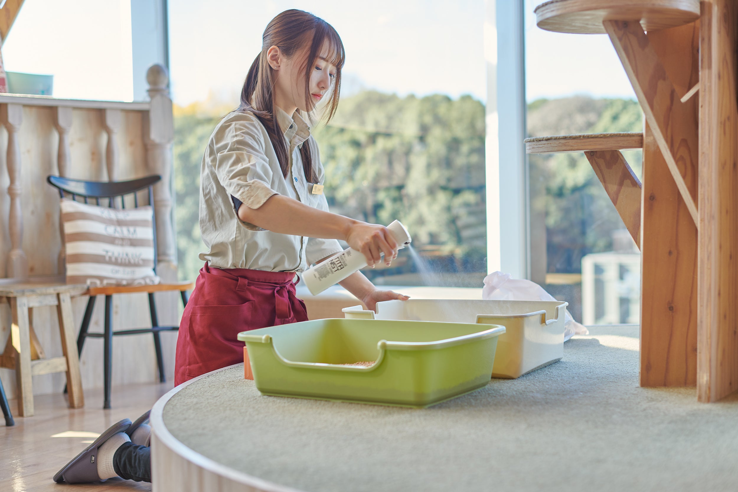 CAT CAFE MOCHA 原宿店