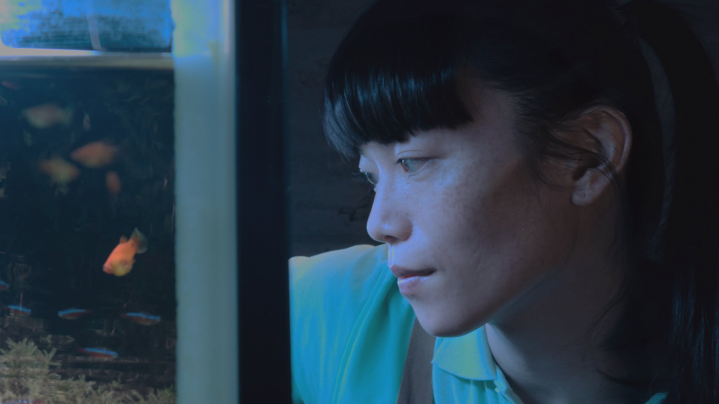 『⽚袖の⿂』より