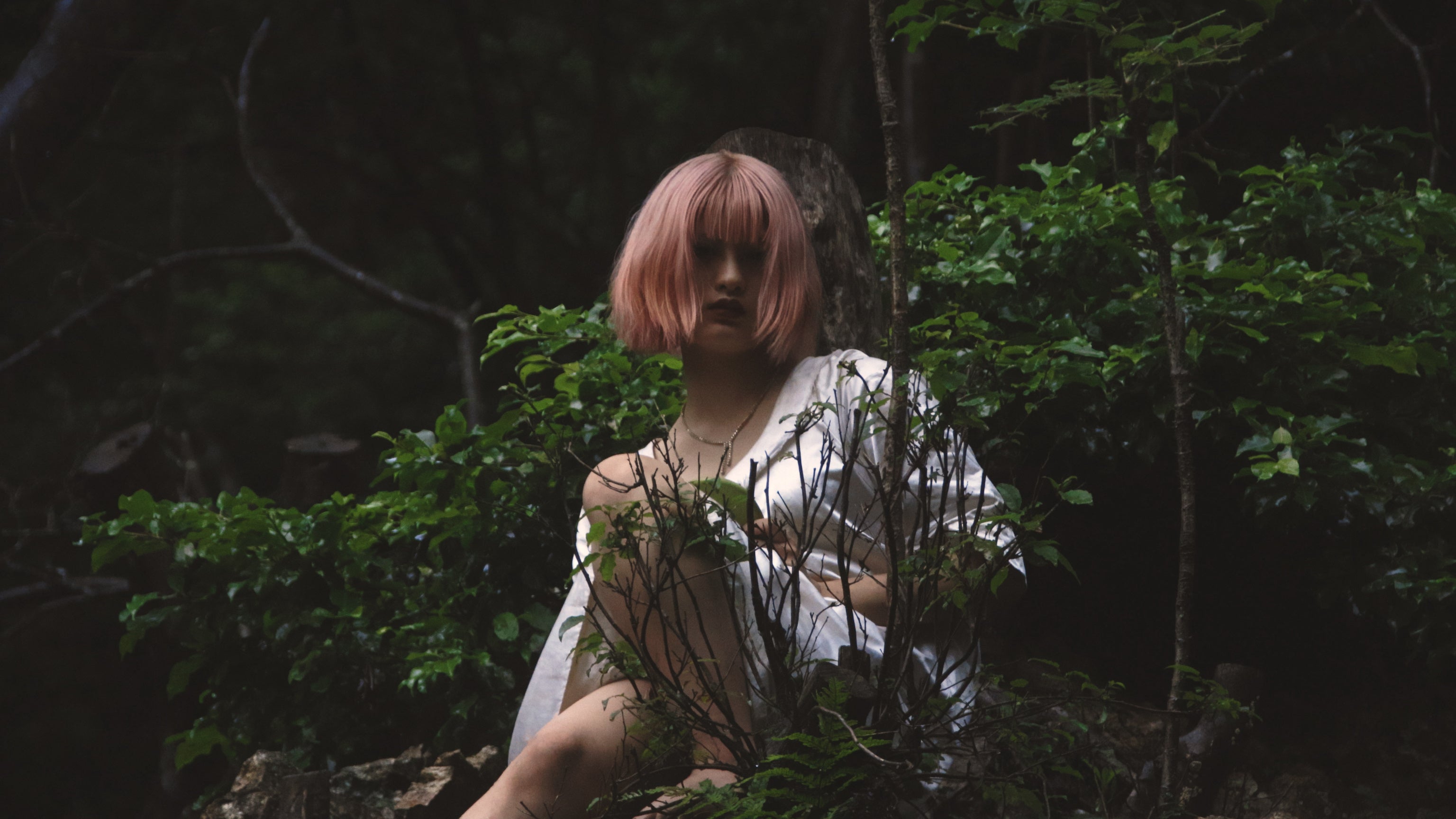 『現代版  城崎にて』