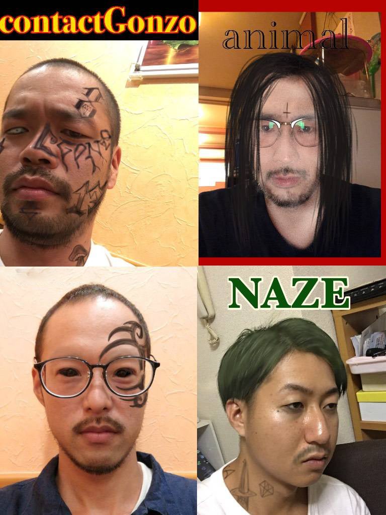 contact Gonzo