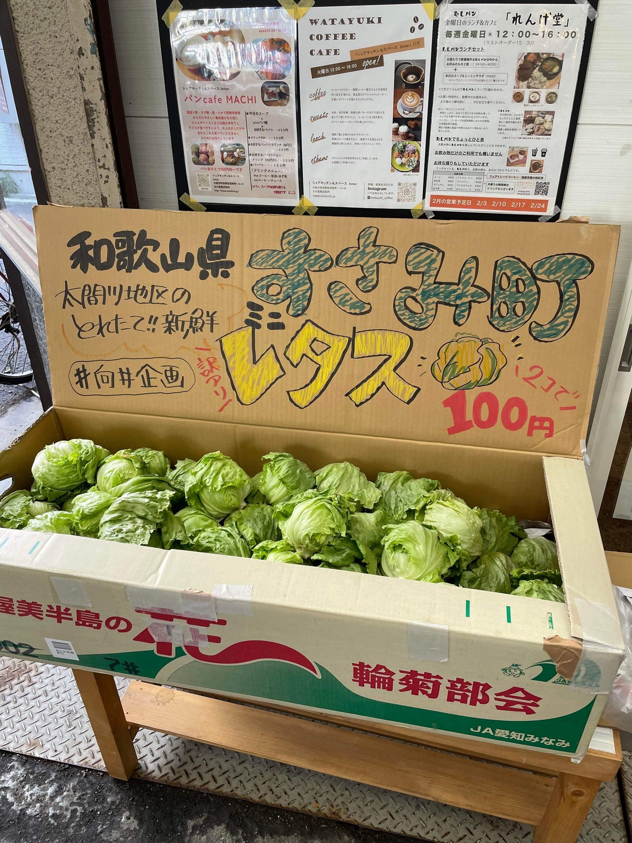 緊急規格外企画のミニレタス販売