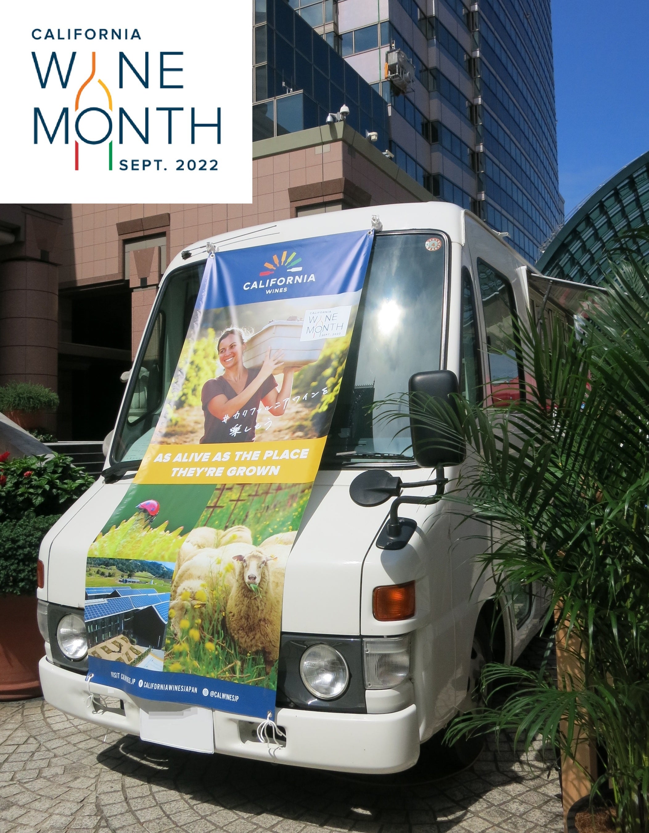 カリフォルニアワイントラック