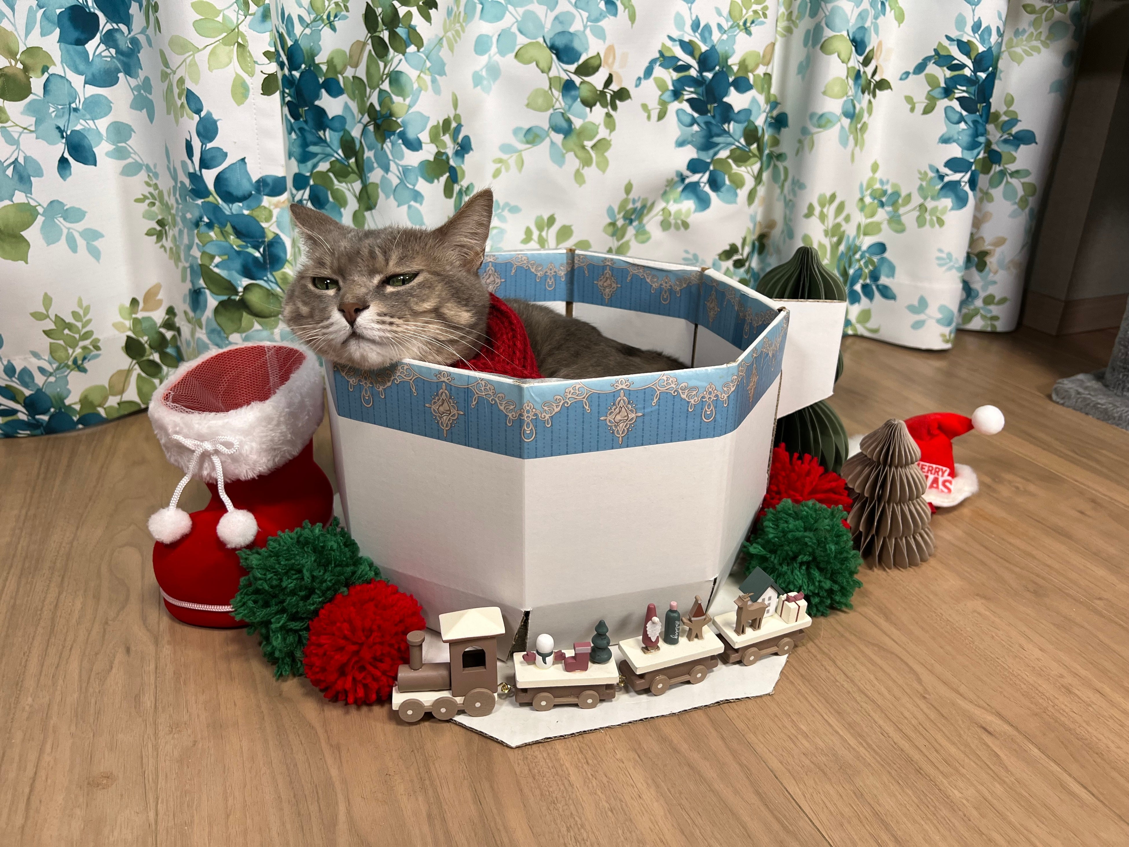 クリスマスならではのアレンジも！