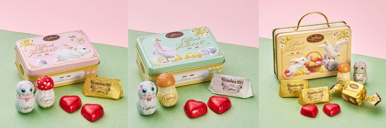 プリマベーラ3缶セット