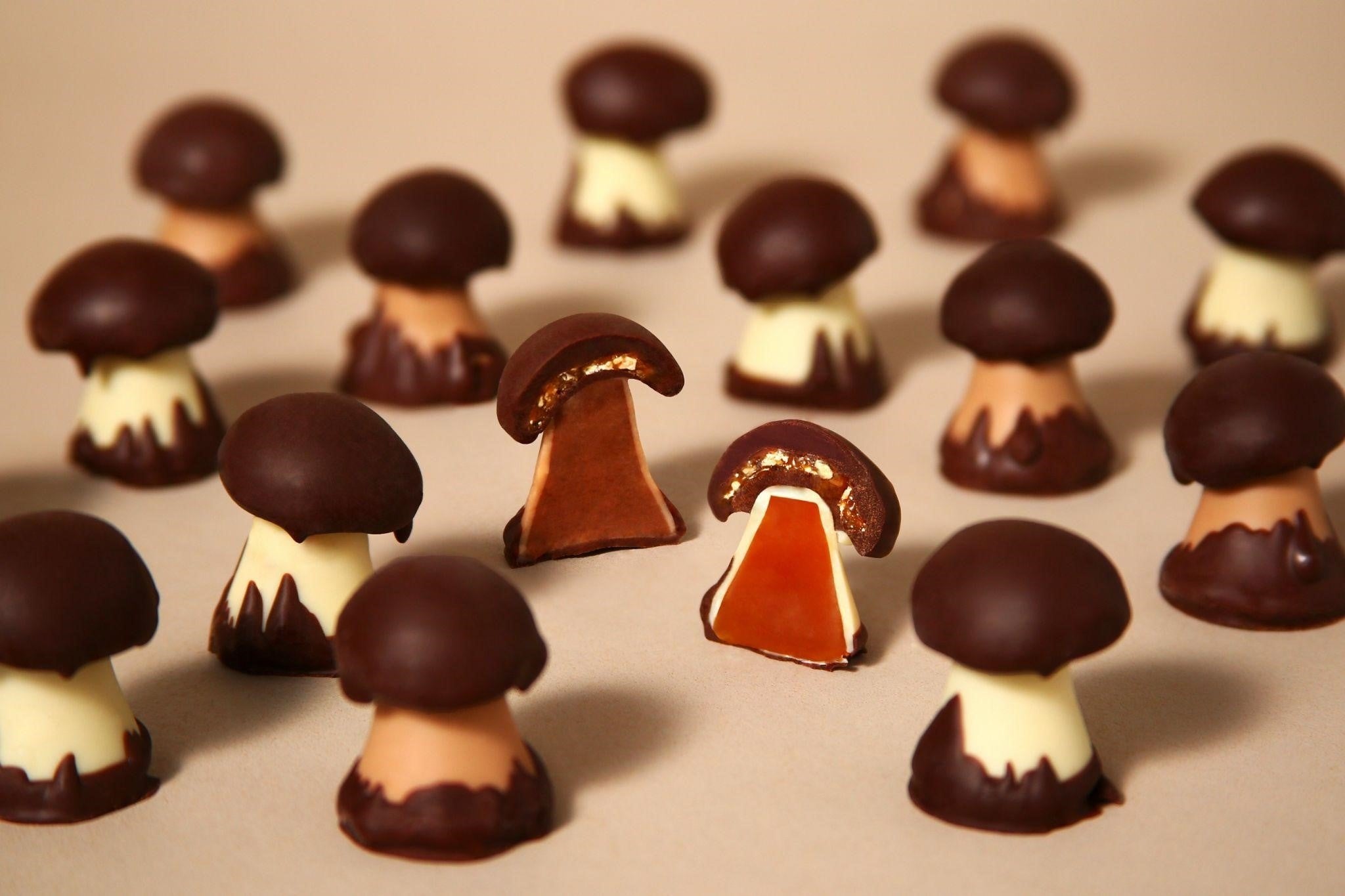 リブランドしたフランス名門ショコラメゾン「CLUIZEL クルイゼル