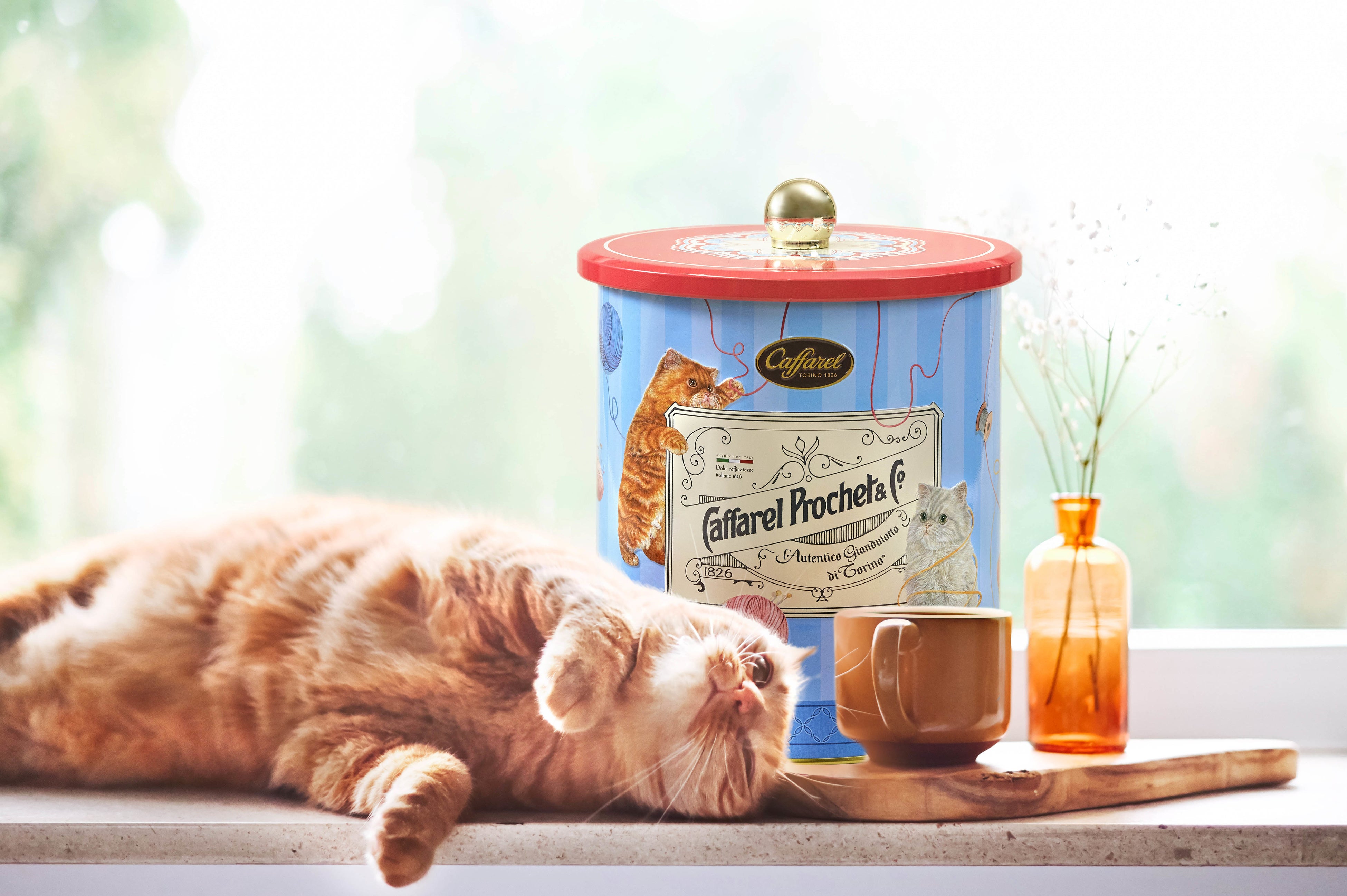 ネコの日コレクション　イメージビジュアル