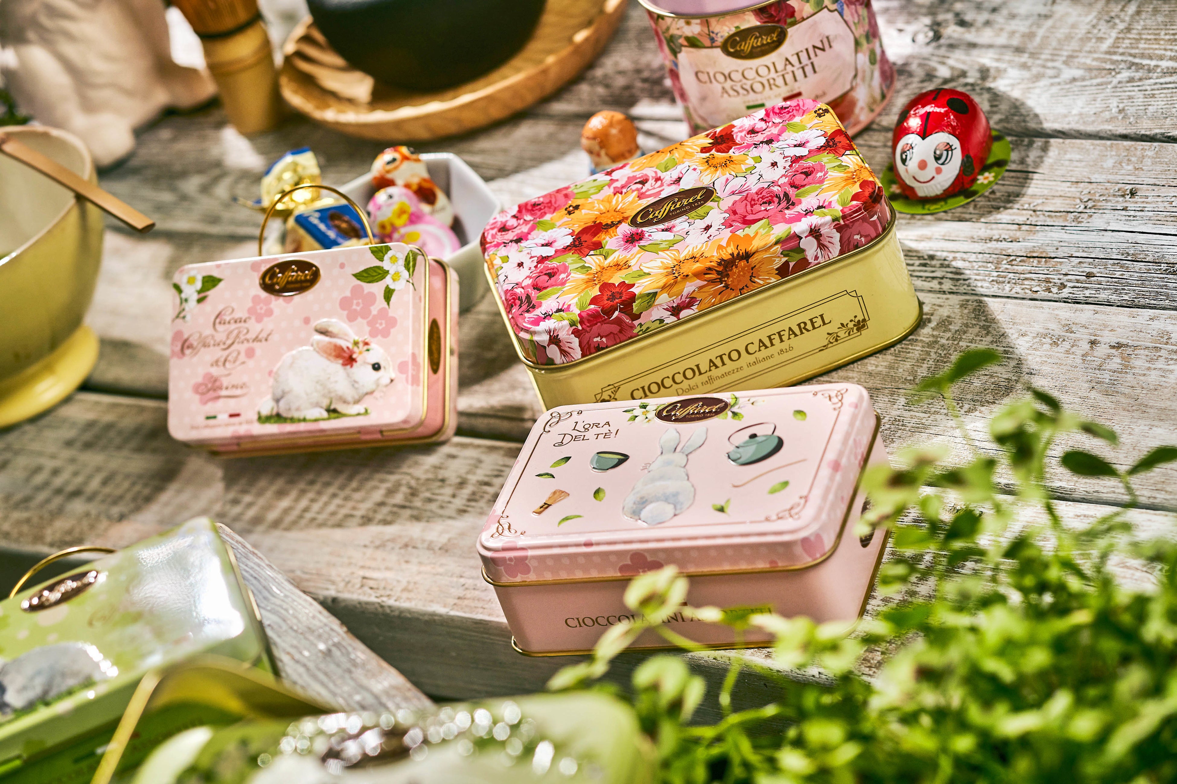 カファレル プリマベーラコレクション2022(イメージ