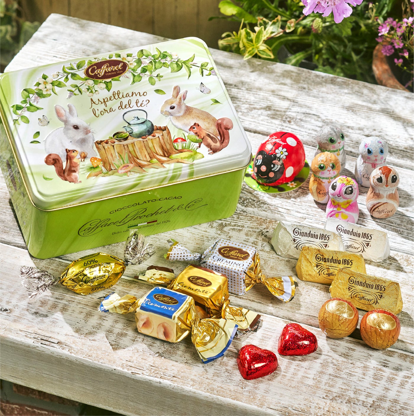 カファレル フェスタ・MATCHA (カファレル公式オンラインショップ限定商品)