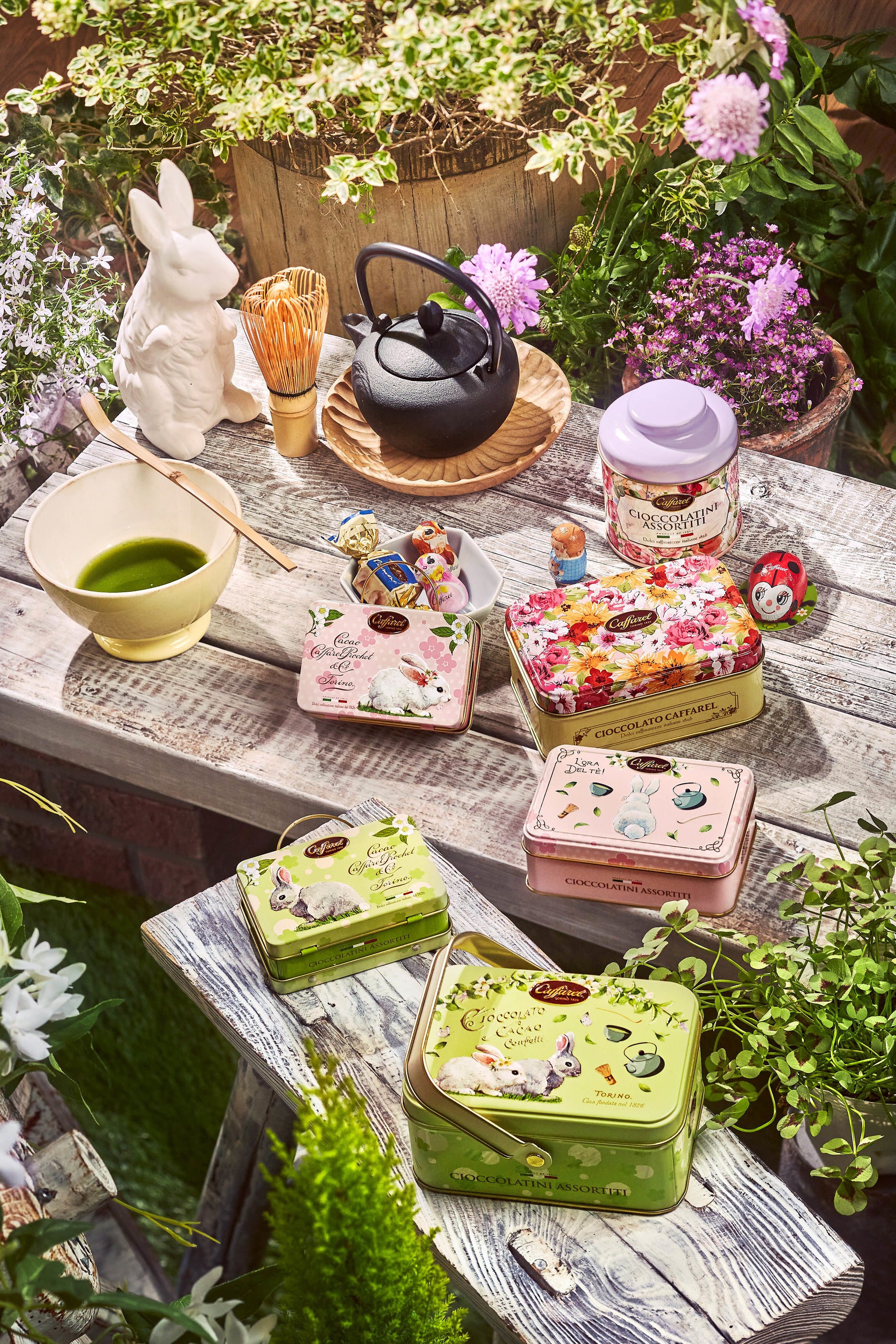 カファレル プリマベーラコレクション2022(イメージ)