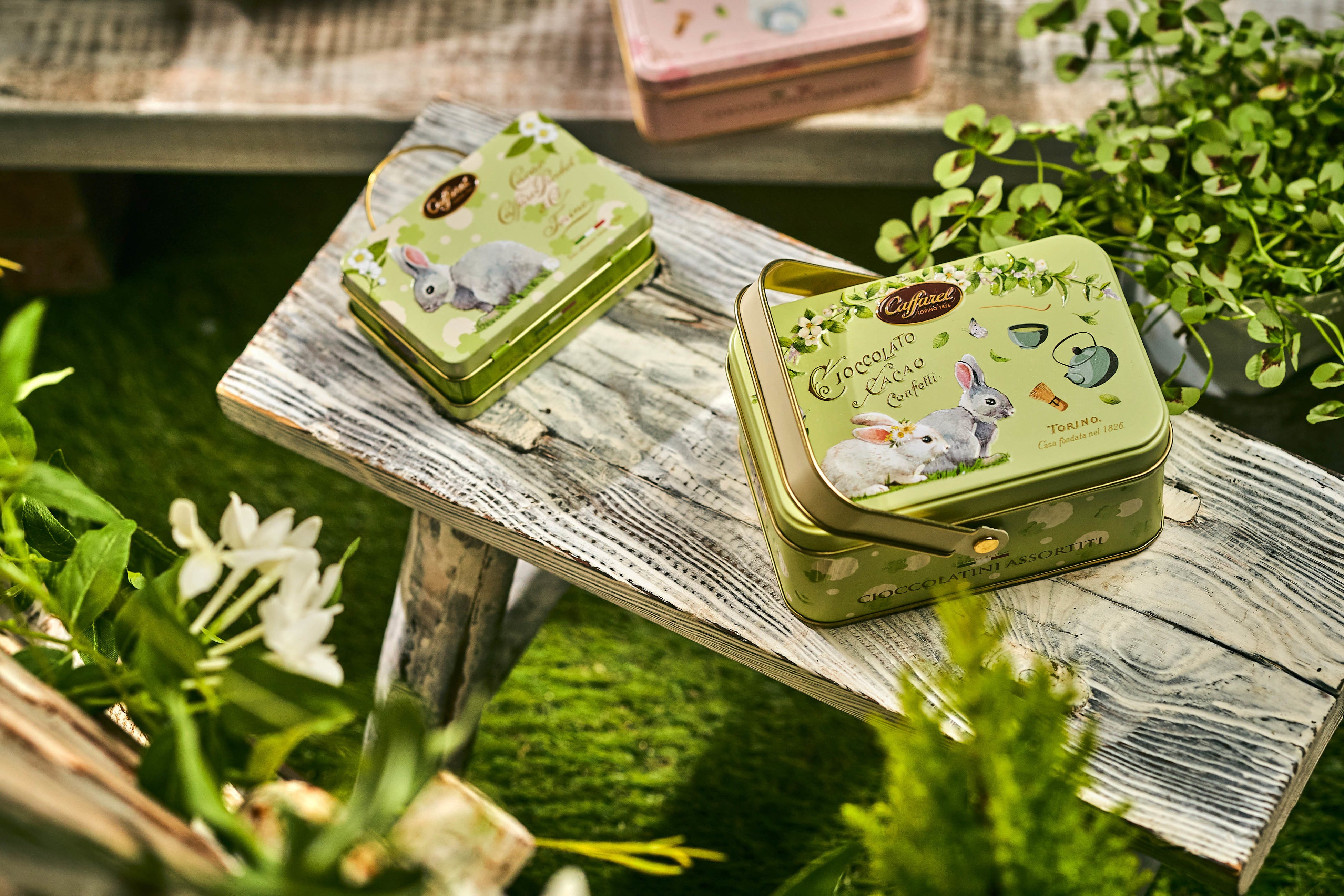 カファレル プリマベーラコレクション2022(イメージ