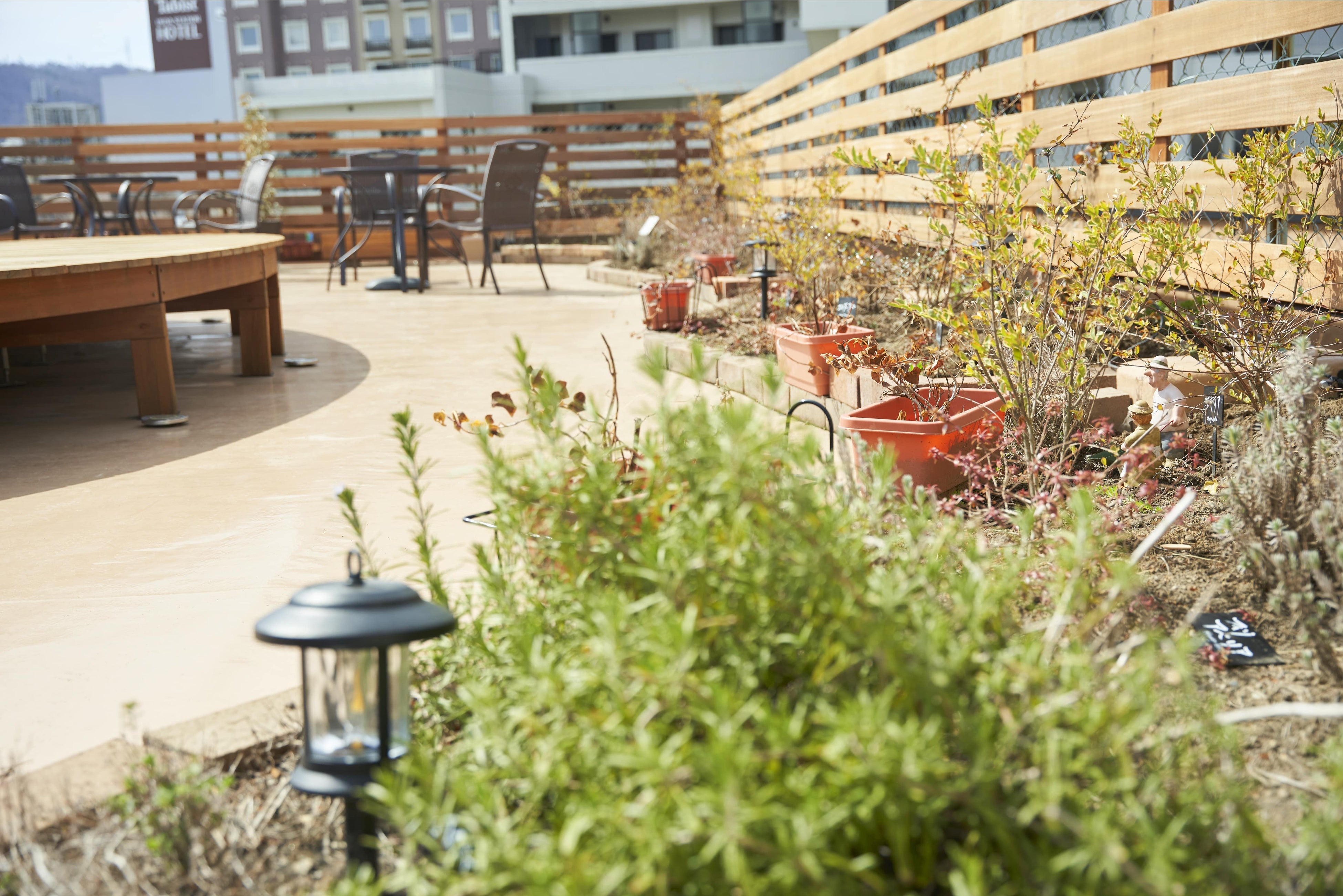 屋上ハーブ園「空庭」では、春〜秋にかけてさまざまな種類のハーブをご覧いただけます