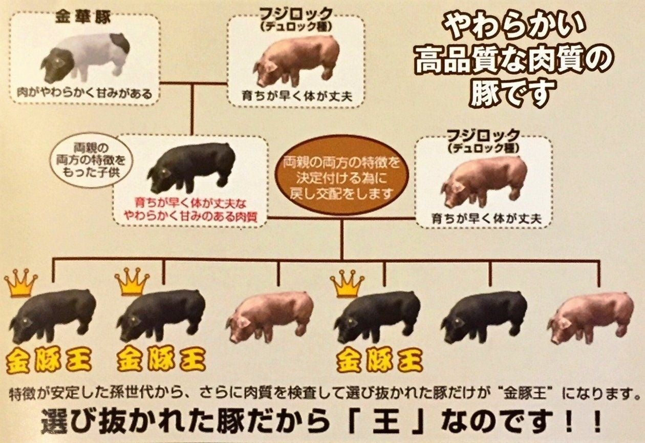 参考：お肉のかねまる