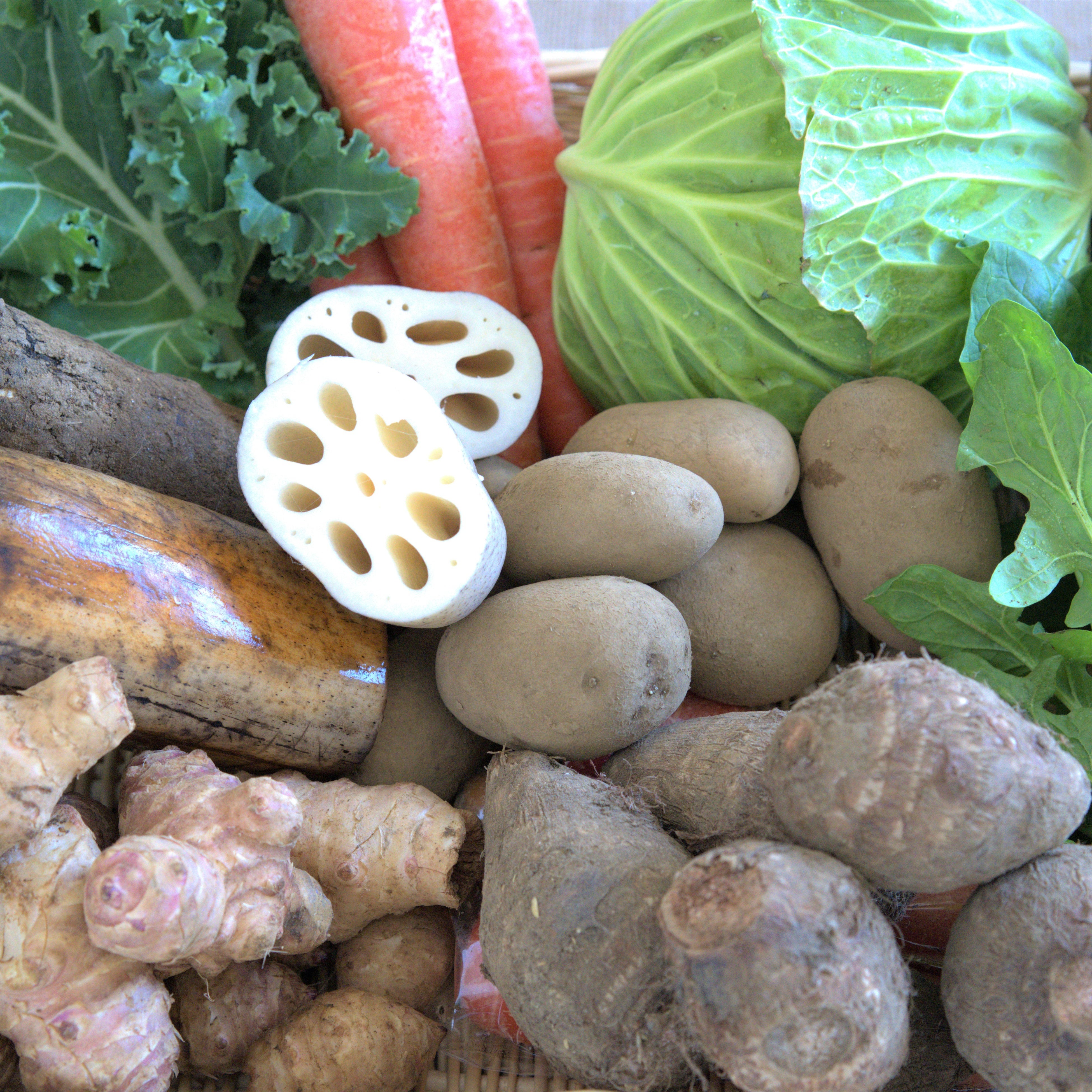 旬のお野菜セット