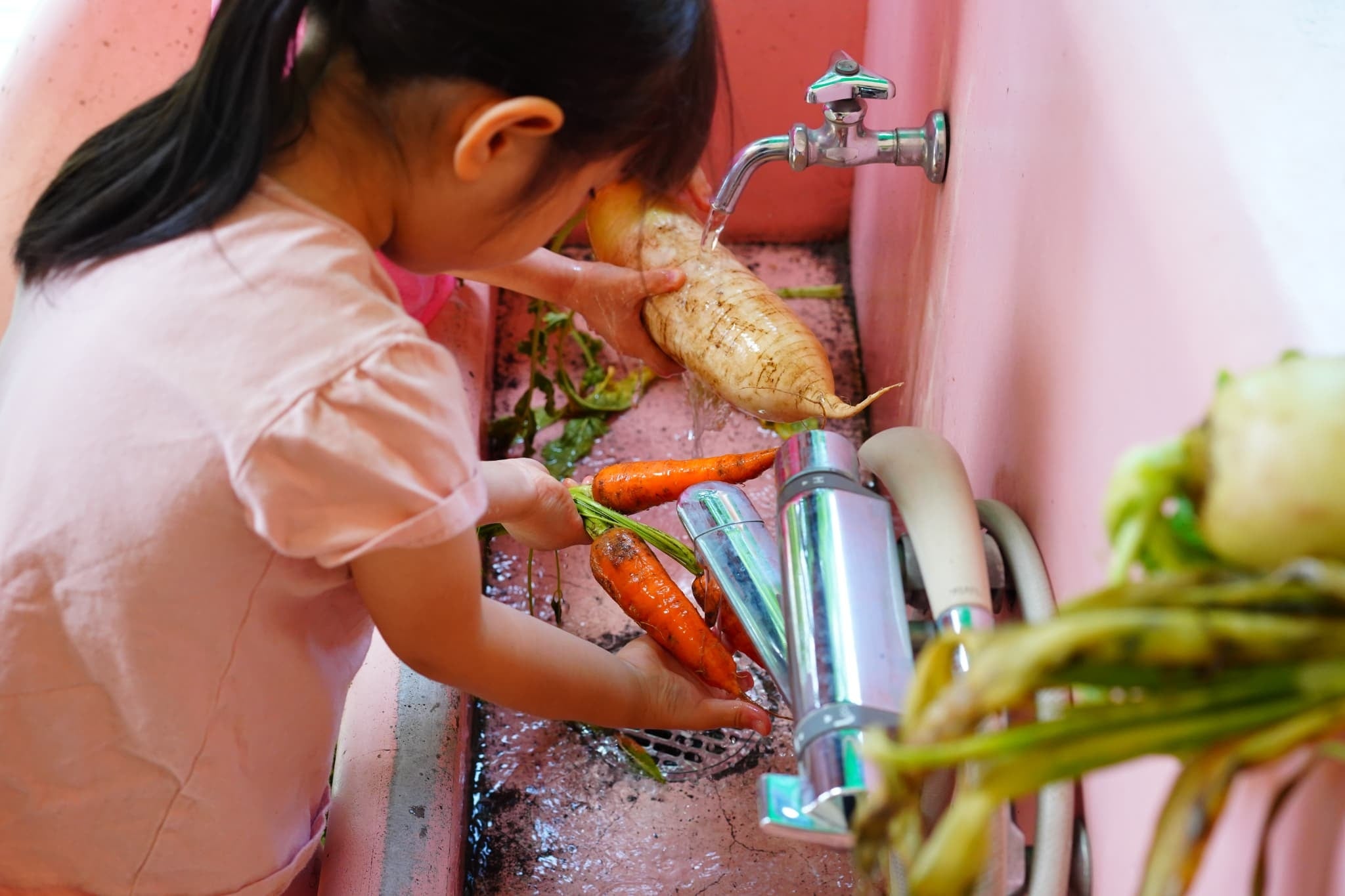 野菜を洗う様子