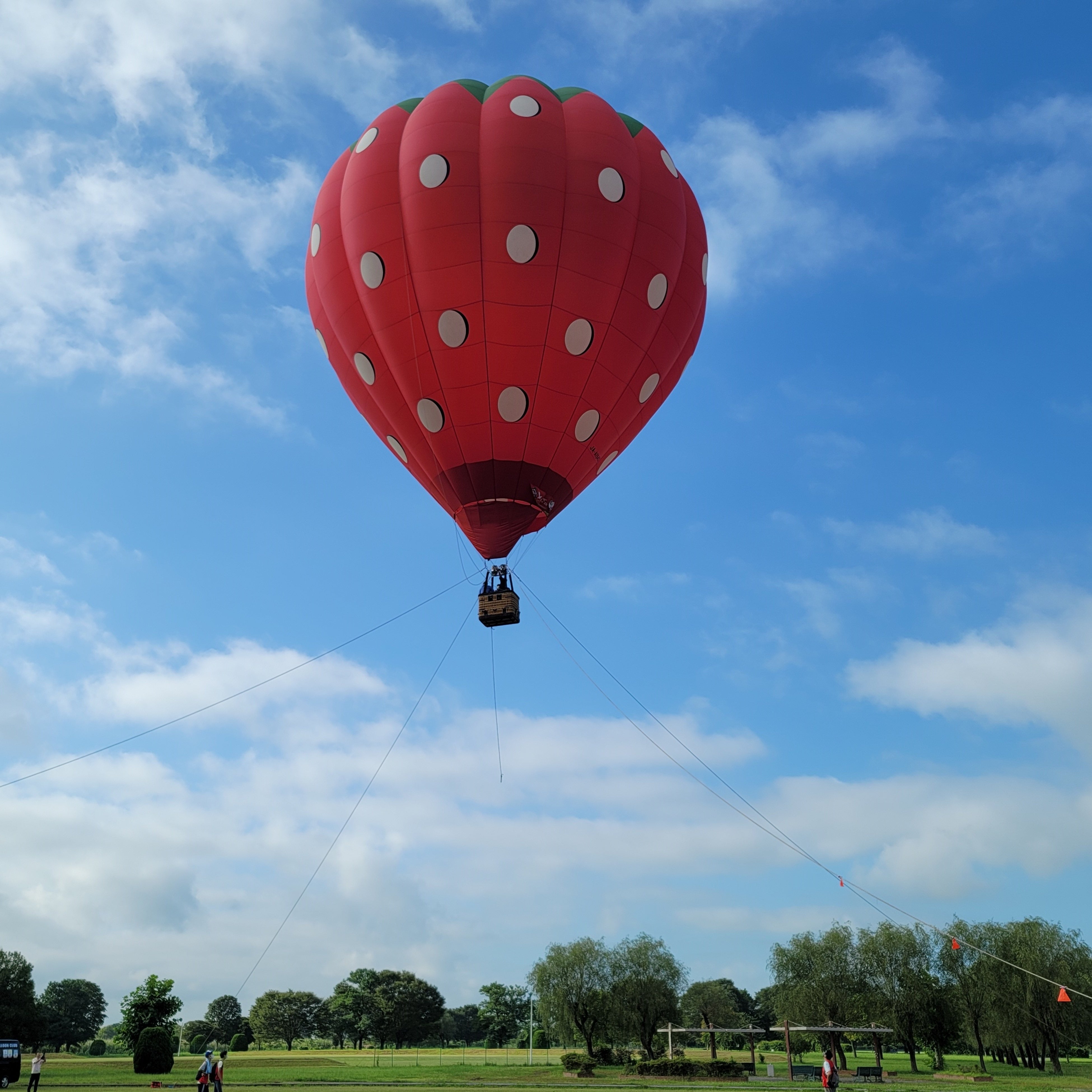 「栃木市わたらせ熱気球day」