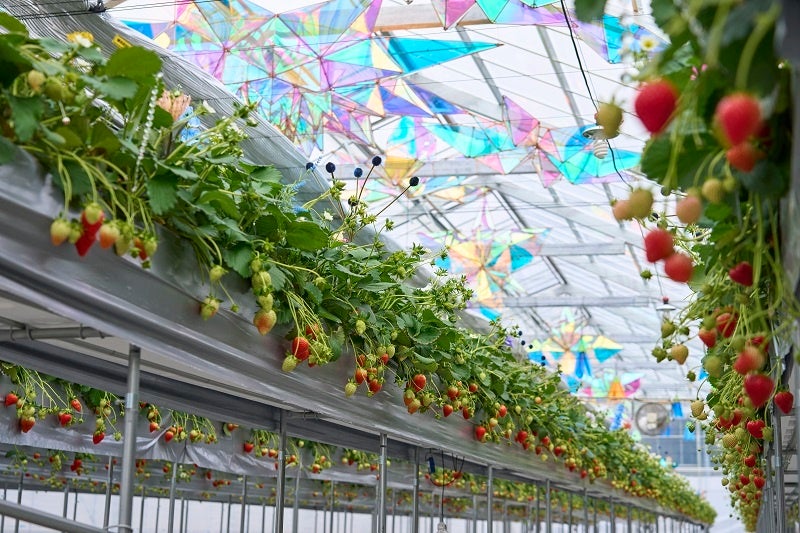 ※写真はイメージです。掲載内容は予告なく変更になる場合があります