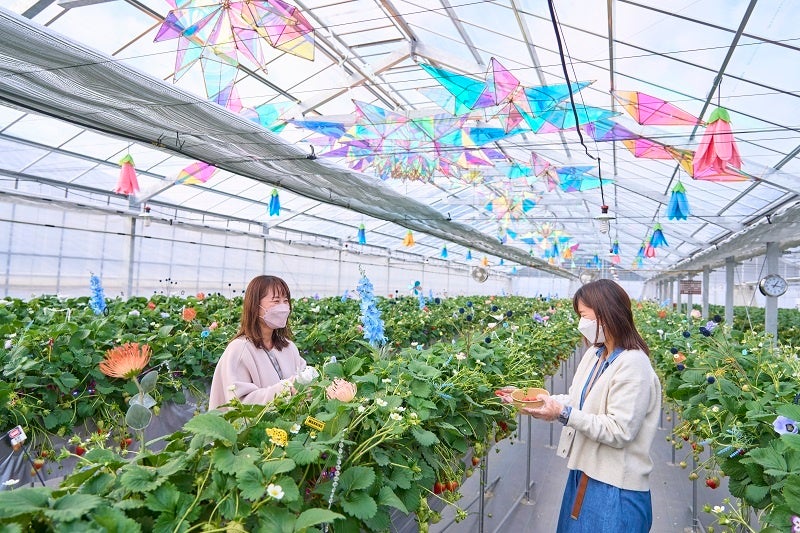 ※写真はイメージです。掲載内容は予告なく変更になる場合があります