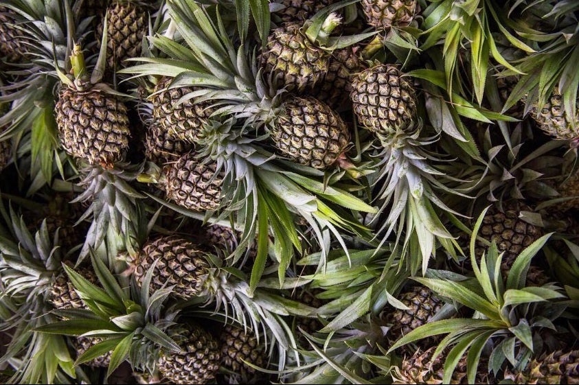 pinapple