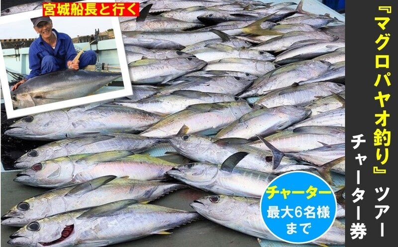 ふるさと納税で マグロ釣りツアー 沖縄県の北中城村観光協会で取り扱い開始 一般社団法人 北中城村観光協会のプレスリリース ふるさと納税で マグロ釣りツアー 沖縄県の北中城村観光協会で取り扱い開始 一般社団法人 北中城村観光協会のプレスリリース