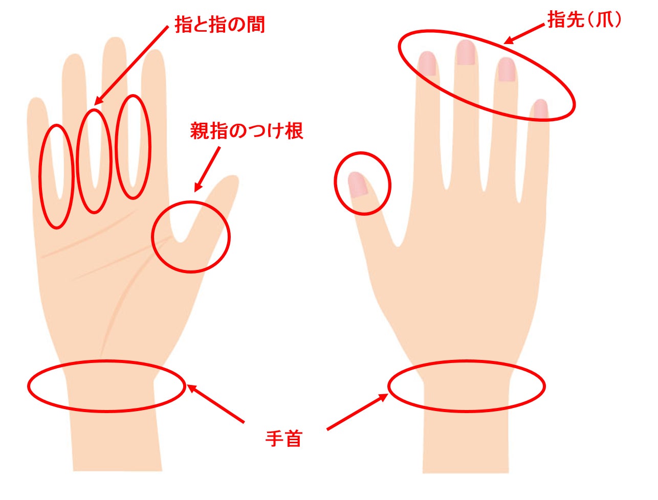 洗い残しやすい場所