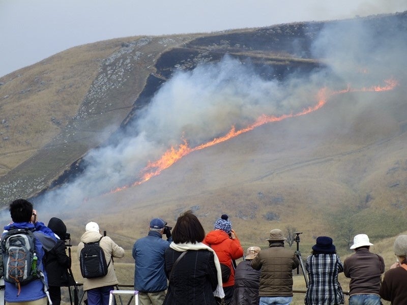 写真提供：平尾台自然観察センター