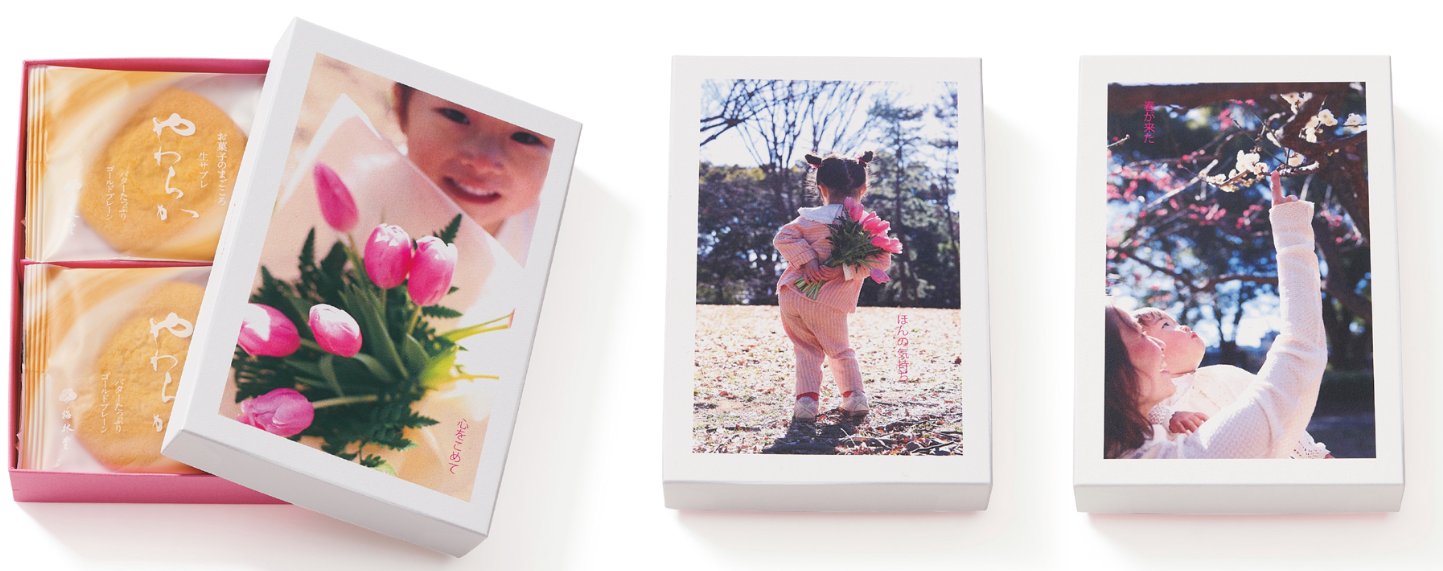 ハルのまなざし6枚入